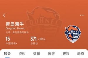  海牛夏窗汇总：新签外援兰克尔-泽，租借张弛、买乌郎、孙正傲