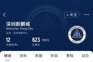  新鹏城夏窗汇总：英超旧将韦斯利加盟，卡尔采夫租借转正